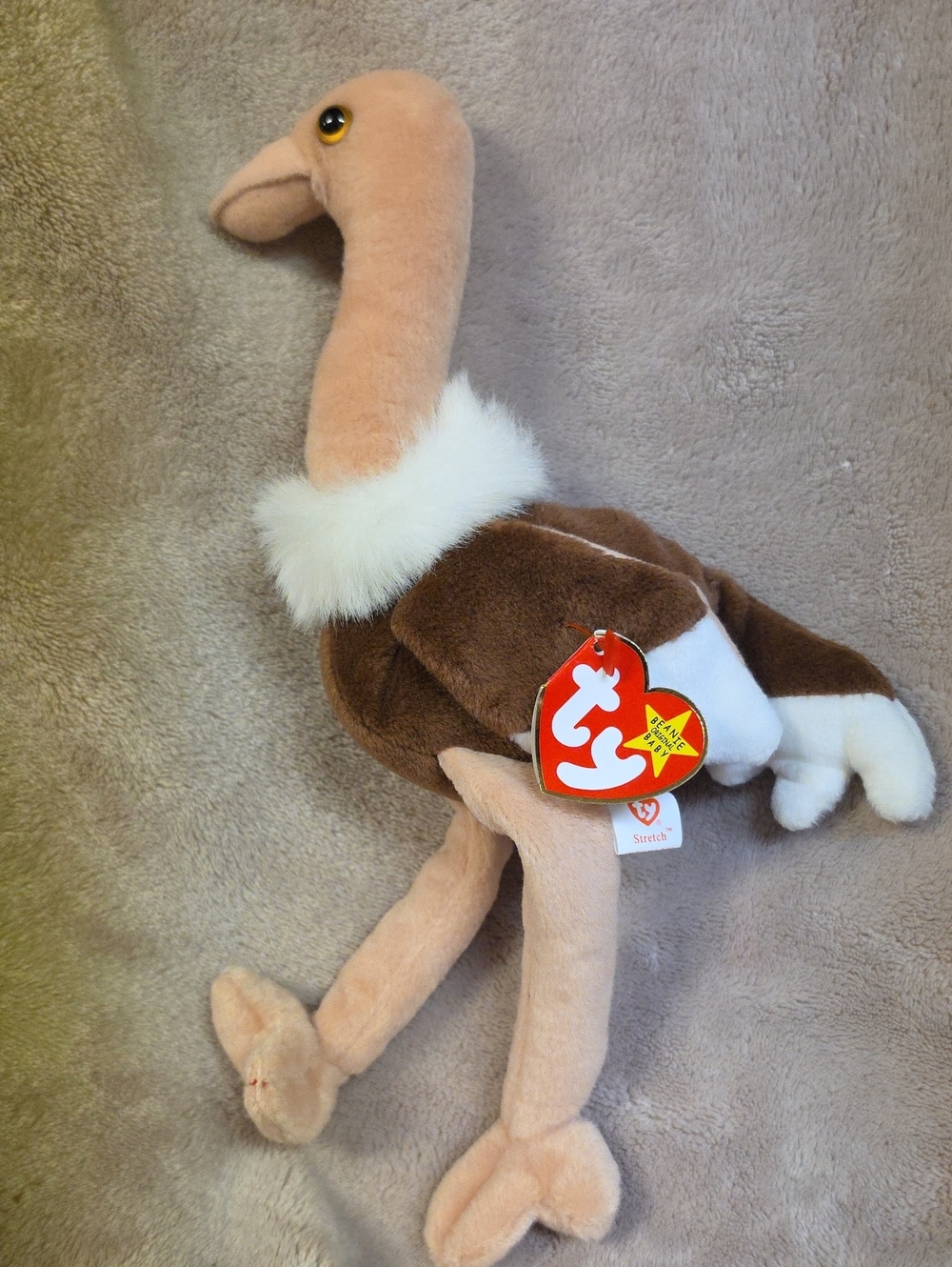 Ty Plush Ostrich Toy in Brown and Cream with White Collar